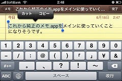 iPhoneOS3.0コピー＆ペースト1