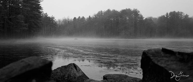 Ponds, Rocks, and Finding Oneself