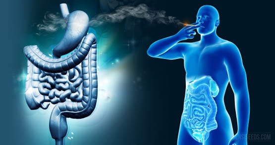 Digestive-system-3