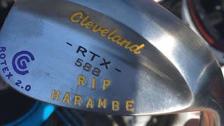 Smylie Kaufman Harambe Stamp