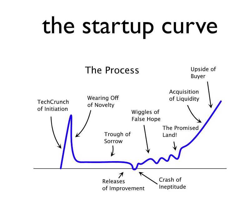 The trough of sorrow