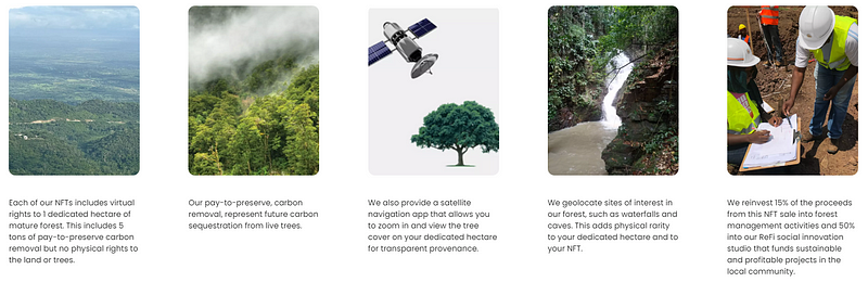 Screenshot of the Carbon Collectibles website showing different aspects of the project.