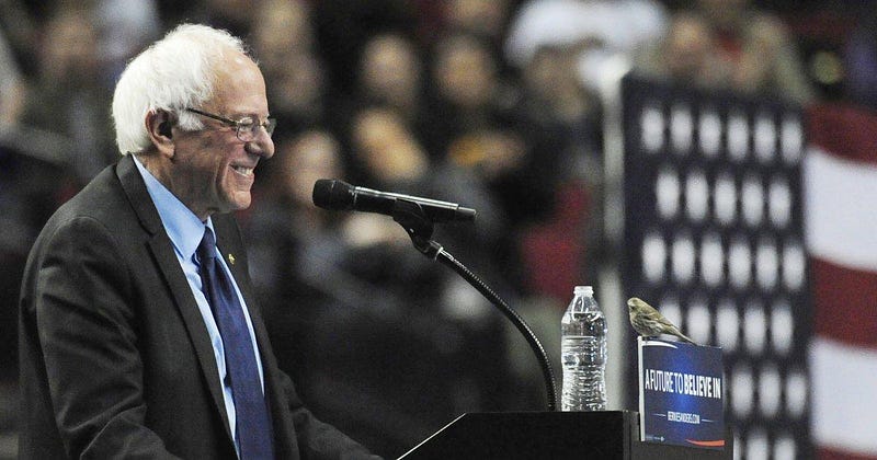 dem-2016-sanders
