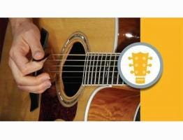 Lynda - Beginning Acoustic Guitar