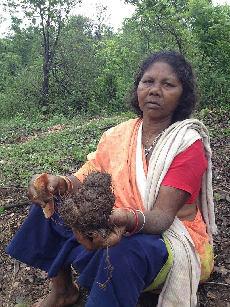 Rahil Murmu holding “jungle potatoes.”