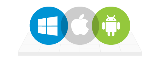 native bs web vs hybrid ezoensoft