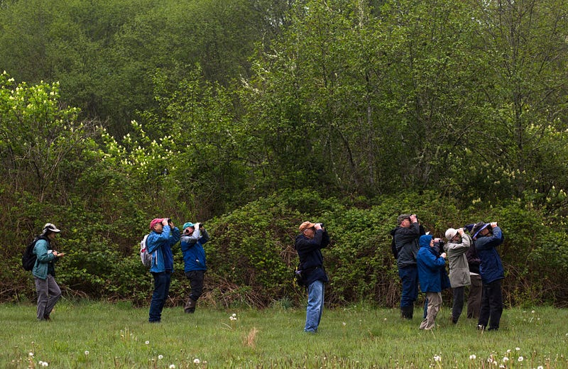 Members of the North Cascade Audubon Society shift focus to the sky during a birding expedition near Lake Whatcom. "Birding leads to learning about the details around us," says Paul Sarvasy, second from the left.