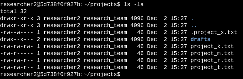 File Permissions in Linux
