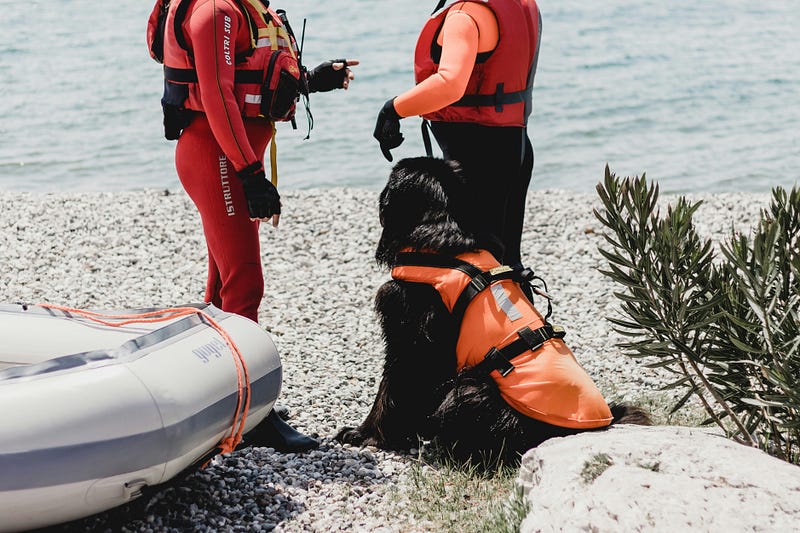 Two people in red and orange wetsuits with life vests stand on a rocky beach near a large black dog also wearing an orange life vest. A small inflatable boat is nearby, and the water is in the background.