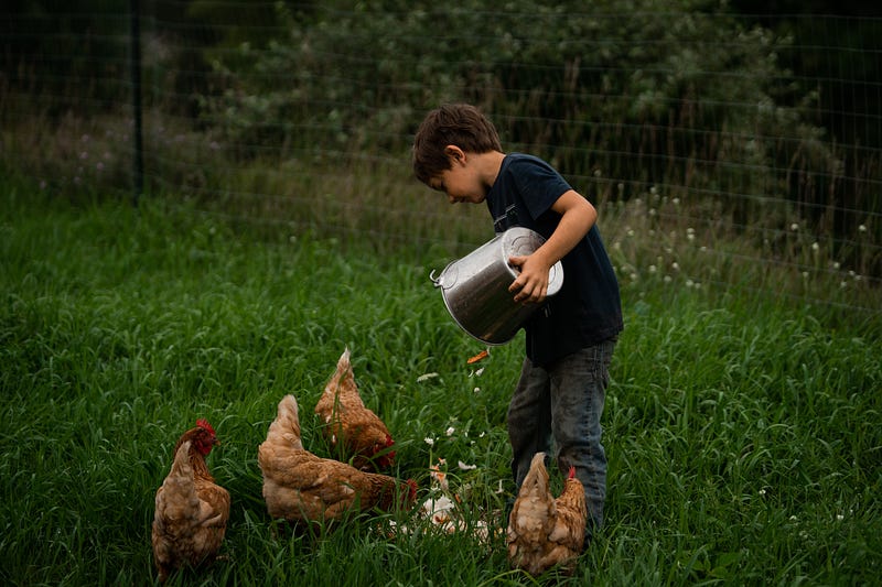 Homesteading