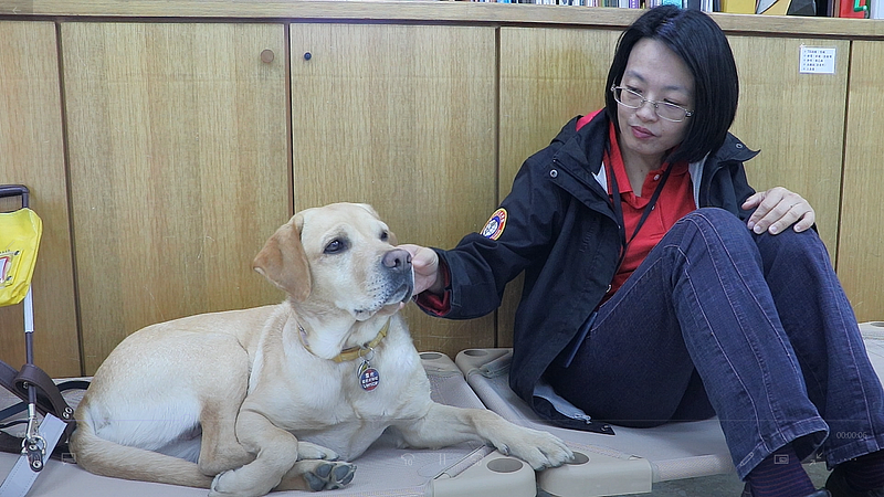 訪談中指導員陳雅芳數度輕撫導盲犬Sherry，牠也乖巧地側臥在旁　礙的萬物論