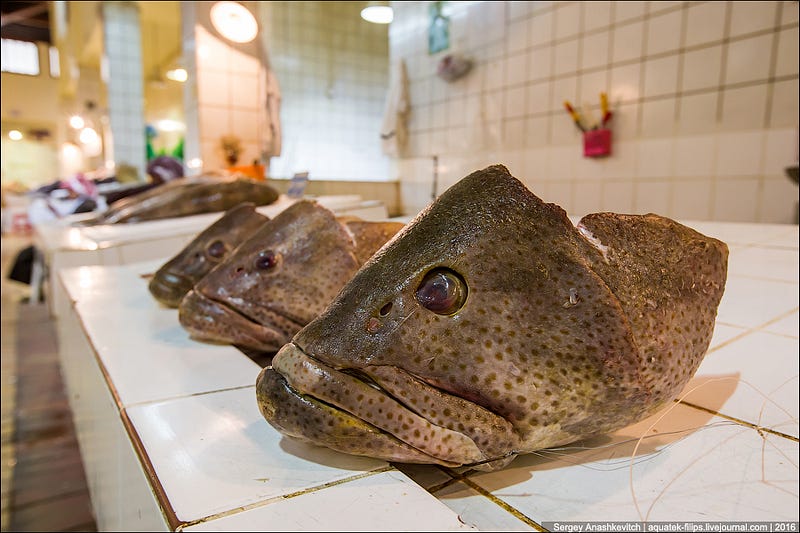 Kuwait Fishmarket / Рыбный рынок в Кувейте