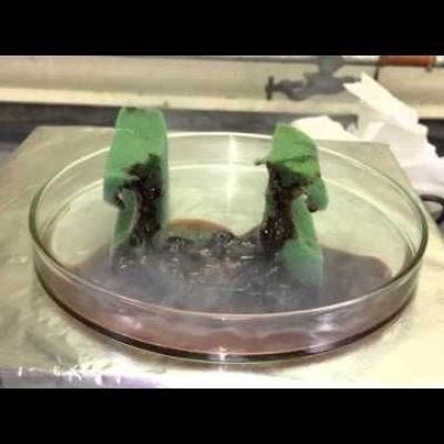 Superacid Destroys A Sponge