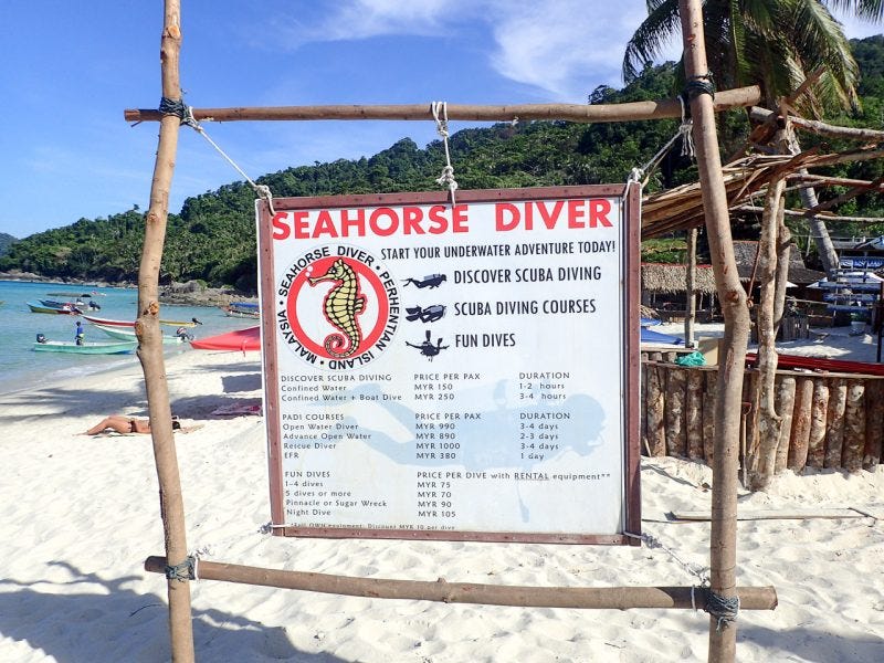 Seahorse Diver