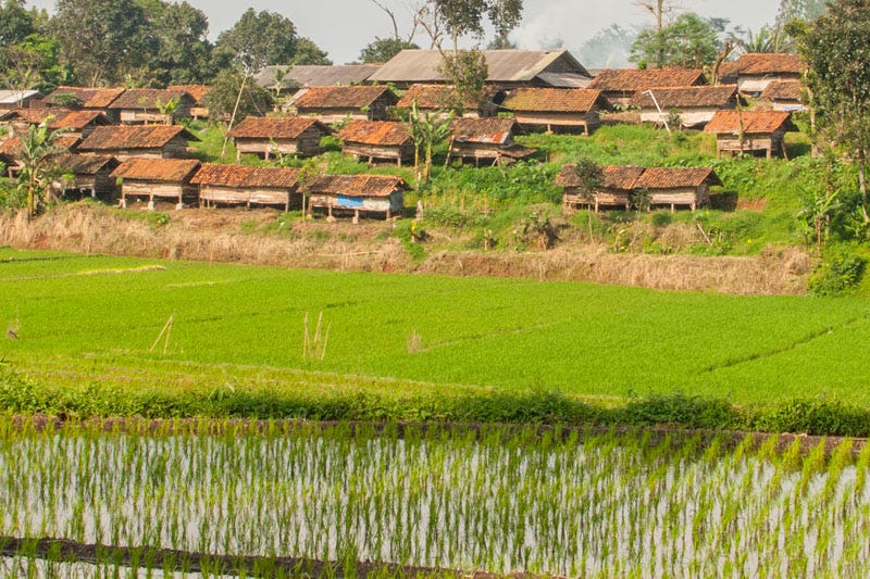 vol 21 destinasi cibuntukampung kambing