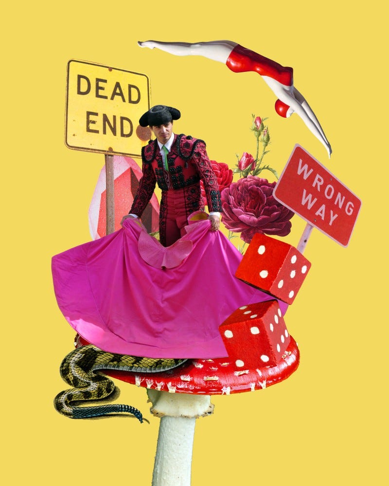 Collage elements: Yellow background, Matador with bull cape, snake tail for lower body, on a toadstool red and white mushroom, signs wrong way go back, dead end, flowers and statue of diver for decoration