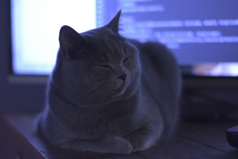 The Linux Kernel Said “No” to Your AI Coding Assistant