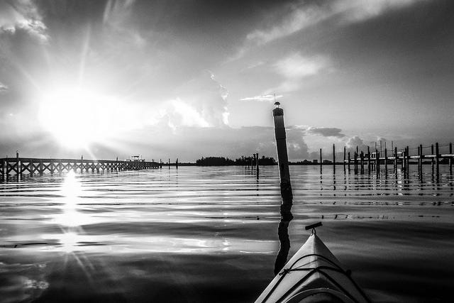 Indian River Morning Kayaking-10