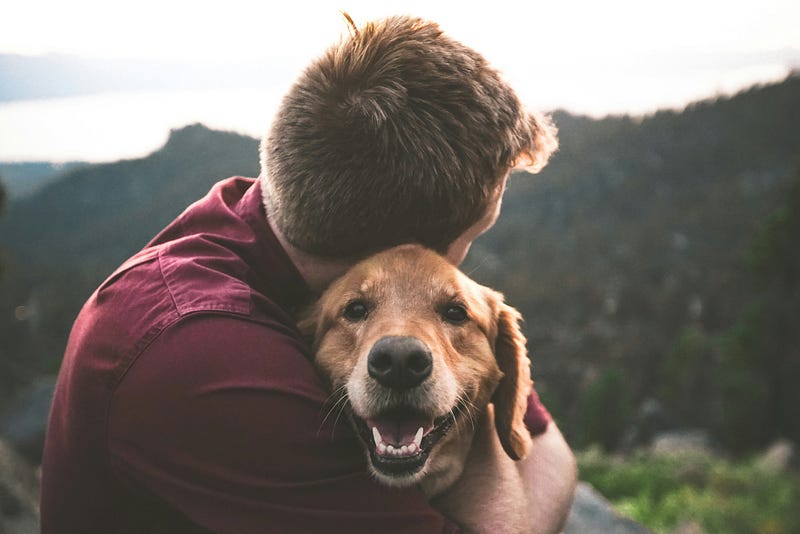A man in a maroon shirt hugs a happy golden retriever on a mountainside, with a beautiful scenic view in the background. The dog has a joyful expression, and the setting appears to be during a serene, peaceful moment in nature.