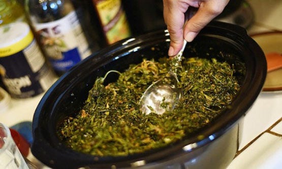 Cannabis_Oil_in_slow_cooker
