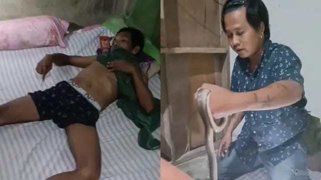 Viral Ular Kobra Masuk ke Celana Dalam Pria Sedang Tidur, Evakuasi Dramatis