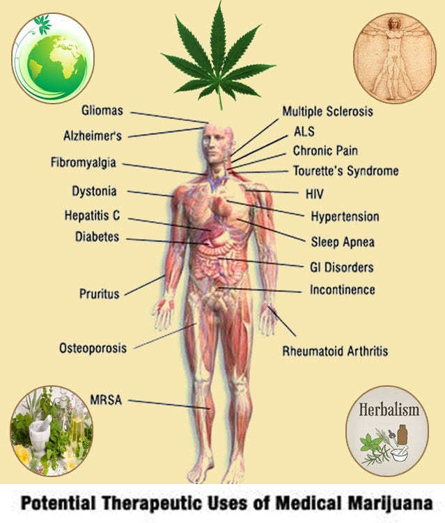 Medical marijuana card Bonita spring