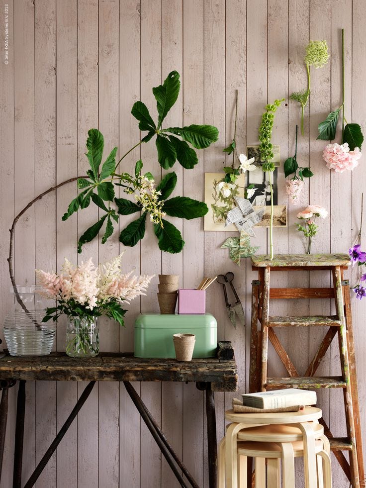 Let's Talk About Plants