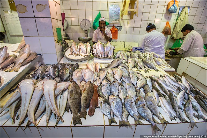 Kuwait Fishmarket / Рыбный рынок в Кувейте