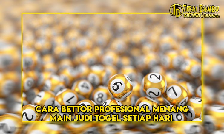 Bandar Taruhan Togel Terbesar