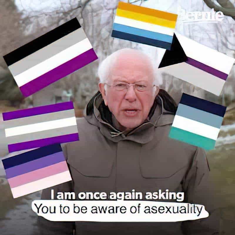 The Bernie Sanders meme. Sanders says, I am once again asking everyone to be aware of asexuals.