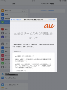 AppleSIM00007