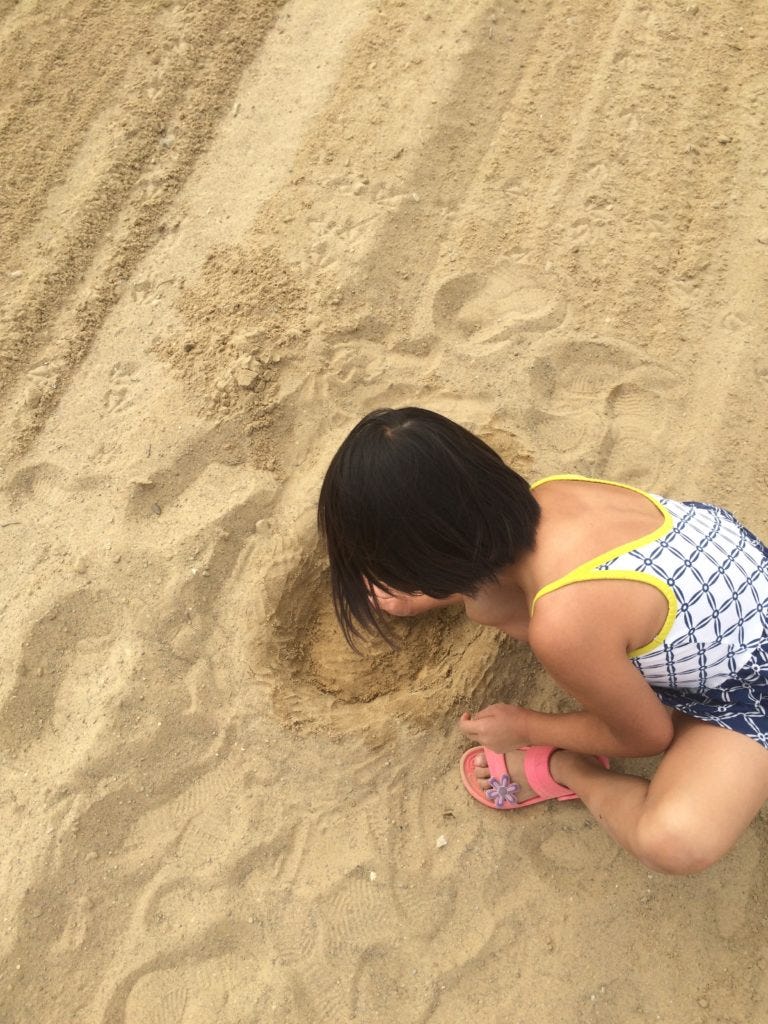 beach