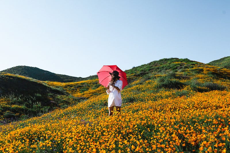 Woman with red umbrella standing in field of yellow flowers