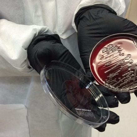 A 'slow catastrophe' unfolds as the golden age of antibiotics comes to an end