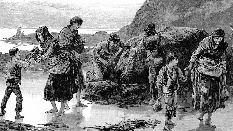 Irish Great Famine