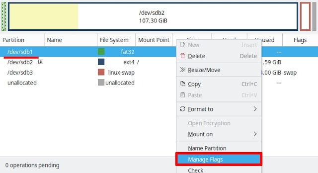 gparted, mostrando a opção das flags
