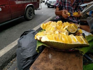 Durian smells like a camels asshole