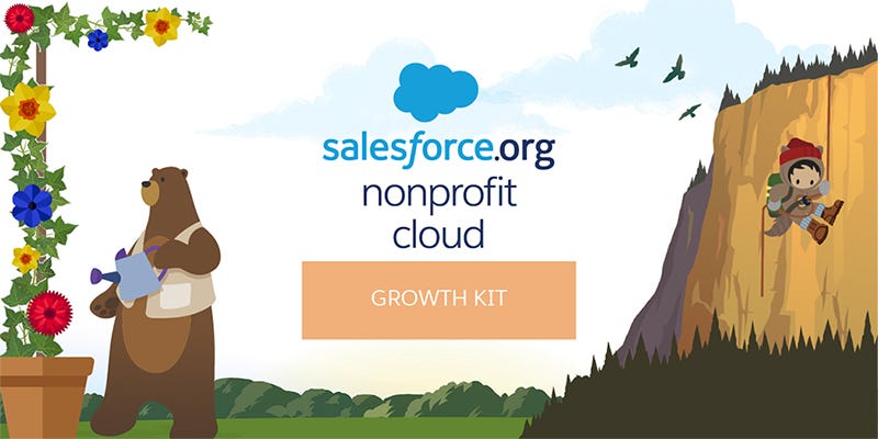 Nonprofit-Cloud-Consultant Training Kit