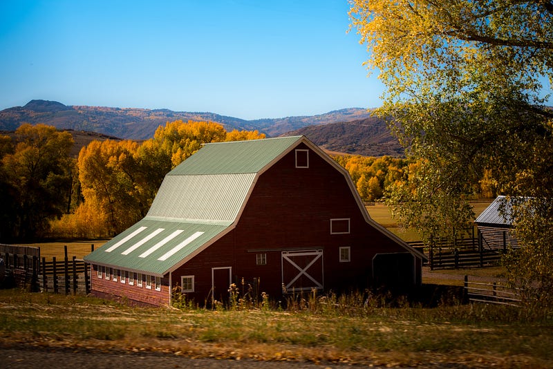 “barn surrounded by trees” by Nathan Anderson on Unsplash