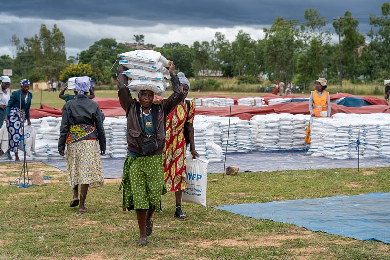 Zimbabwe Families Turn the Tide on Early Malnutrition Detection and Treatment Amidst Devastating Droughts