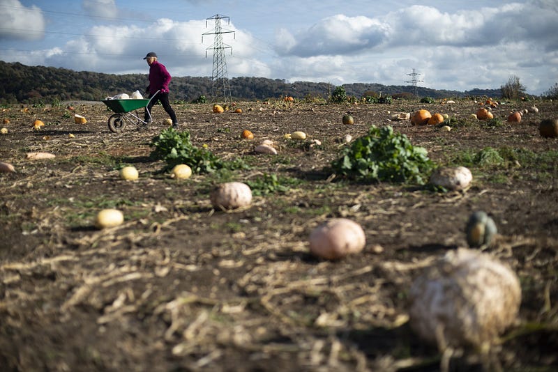 Think global, act local - documenting the lived experiences of others