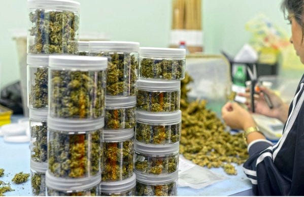 Marijuana is Kosher for Passover, Leading Rabbi Rules #Kosher #Passover #religion #MMJ