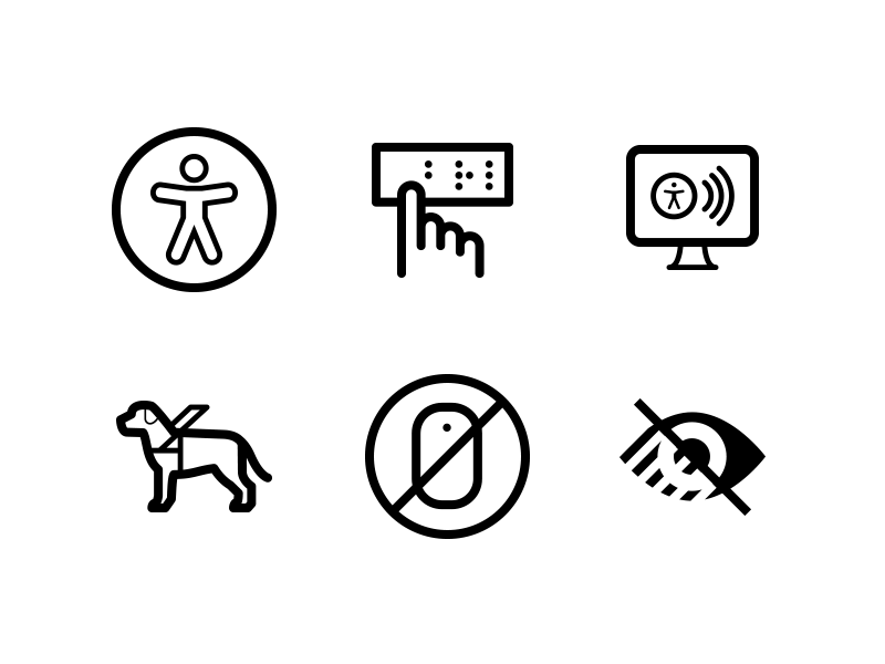 6 ícones, representando: acessibilidade, braile, leitor de tela, cão guia, uso limitado de mouse e baixa visão.