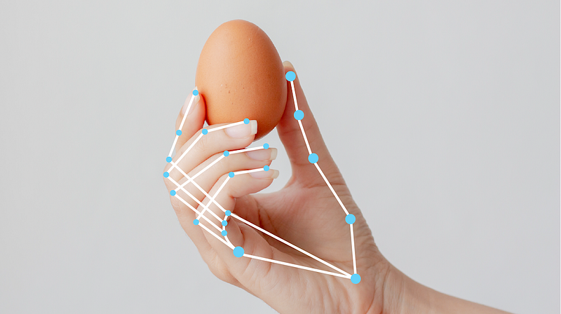 The Human Layer