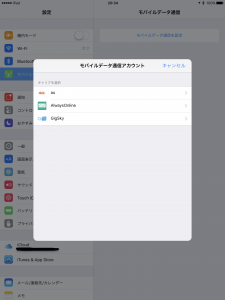 AppleSIM00004