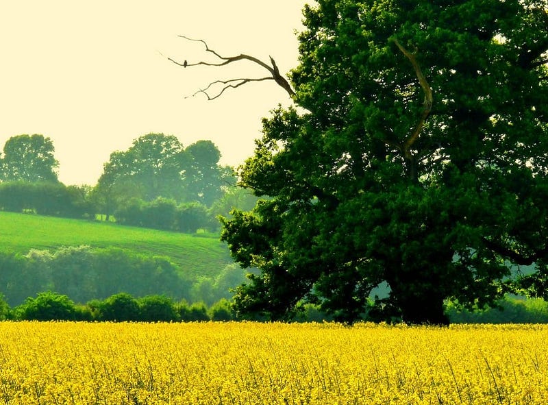 Strange English Place Names: Herefordshire photo