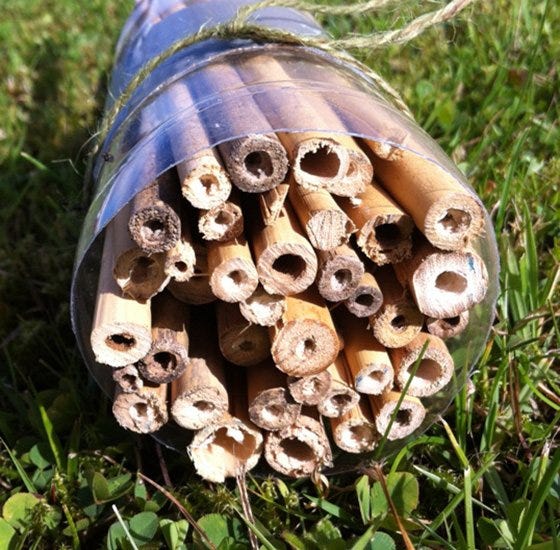 #DIY Grow Hack: How to Build an Insect Hotel to Avoid Toxic Pesticides.