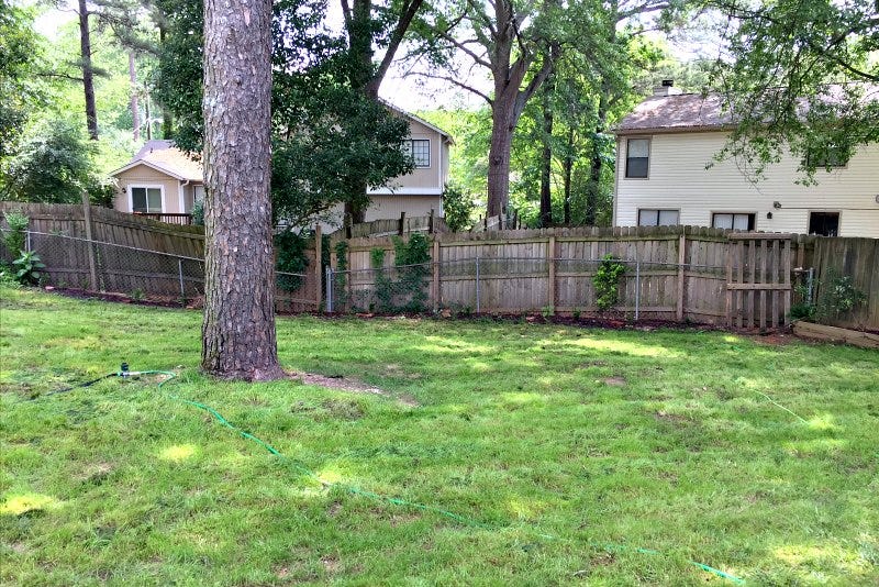 back yard with green grass