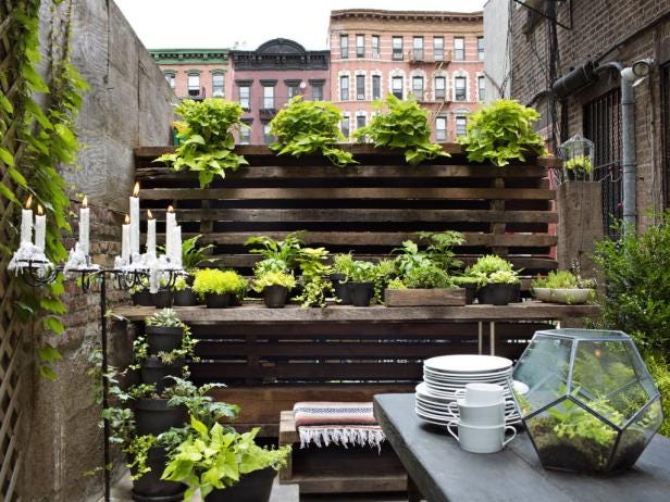 How To Start An Urban Garden