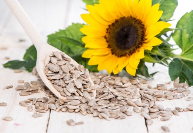 seeds